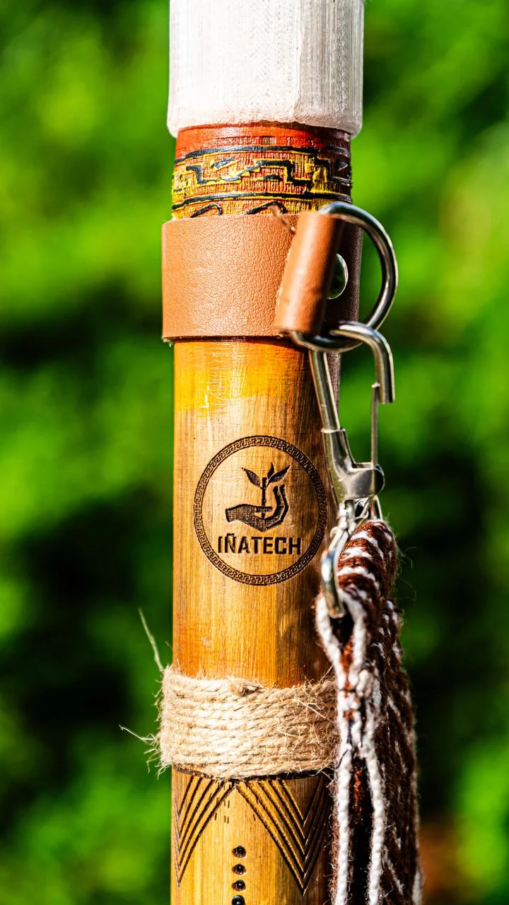 Texturas de bambú y diseño